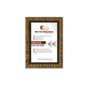 AP-796-4 – Heritage | Copper Gold (Silver Variant)
