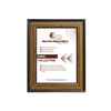 AP-769B-7 – Aura | Brown Black